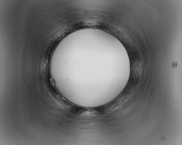 X0000098140364200805011349