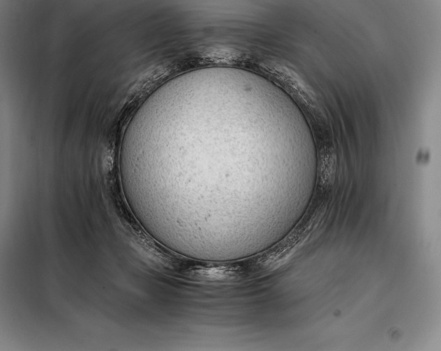 X0000098140365200805011349
