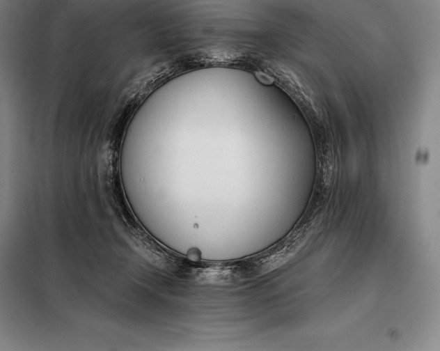 X0000098140366200805011349