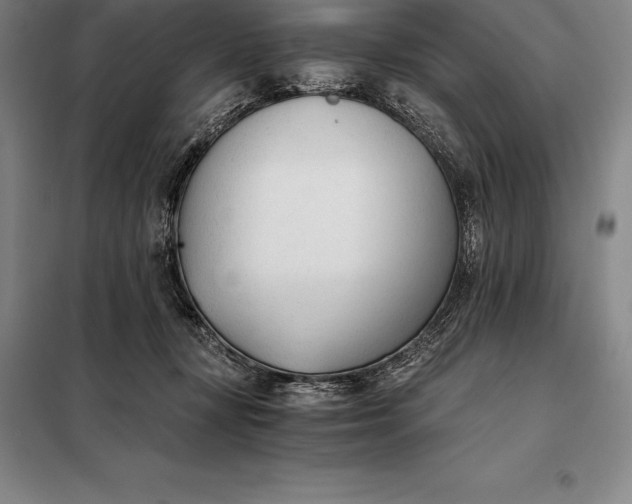 X0000098140367200805011349