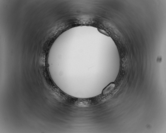 X0000098140368200805011349