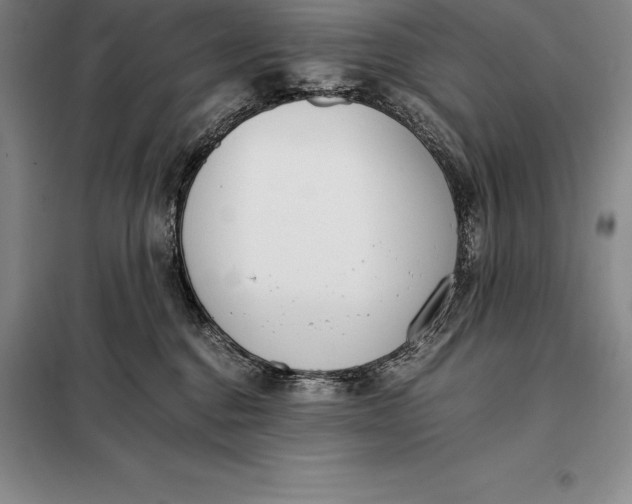 X0000098140376200805011350