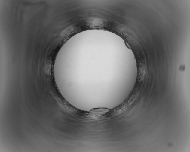 X0000098140379200805011350