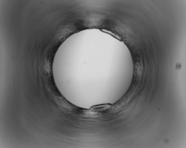 X0000098140380200805011350