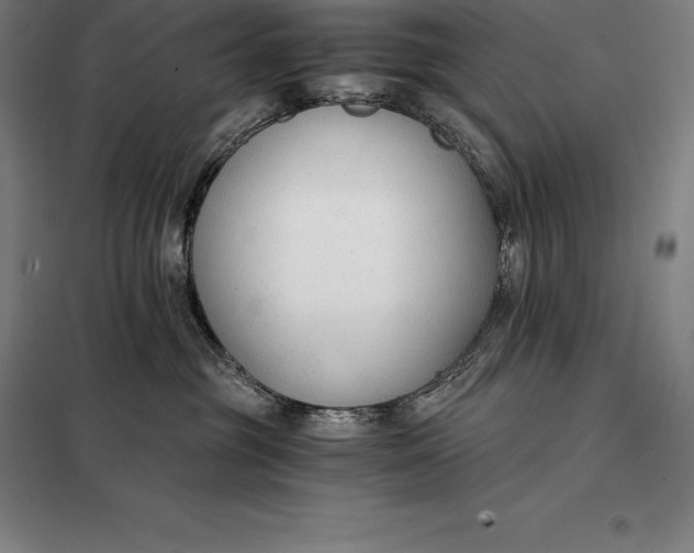 X0000098140381200805011350