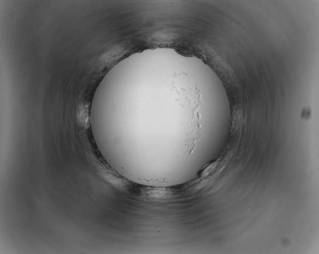 X0000098140383200805011350