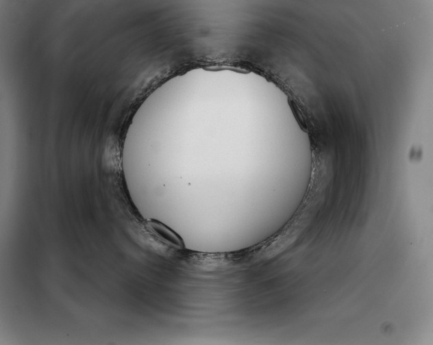X0000098140384200805011350