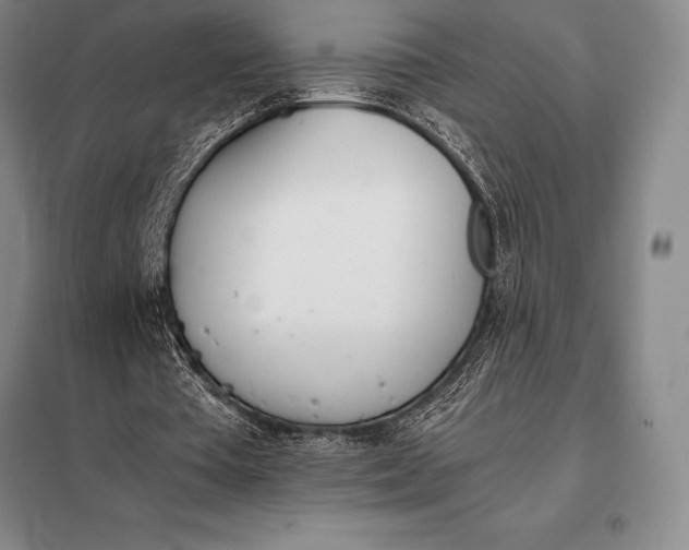 X0000098140385200805011349