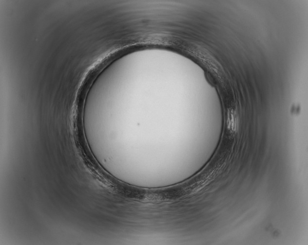 X0000098140388200805011349