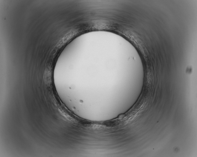 X0000098140393200805011349