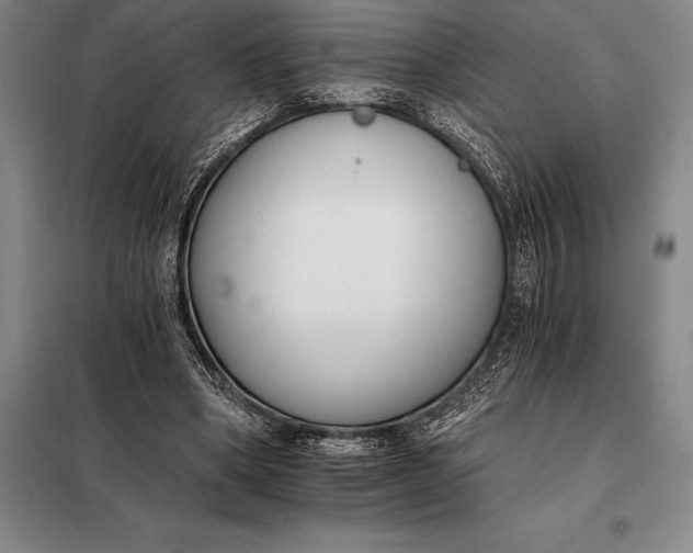 X0000098140394200805011349