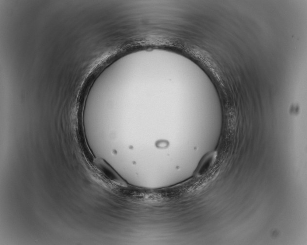 X0000098140395200805011349