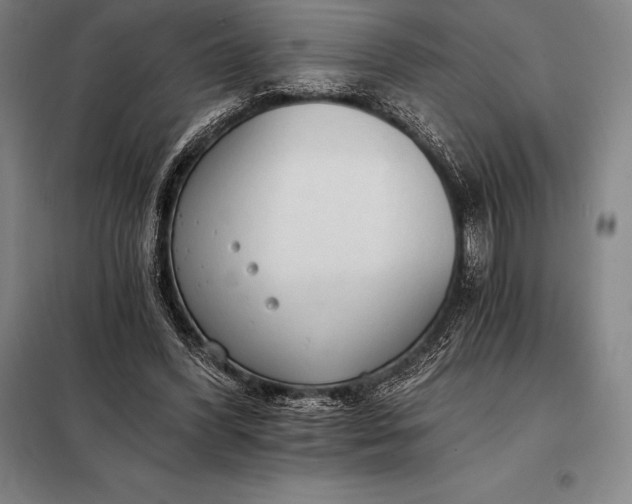 X0000098140396200805011349
