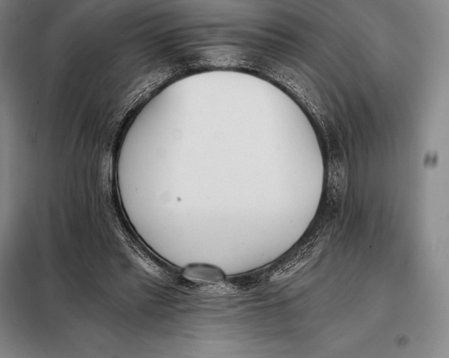 X0000098140397200805011349