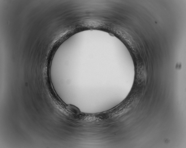 X0000098140399200805011349