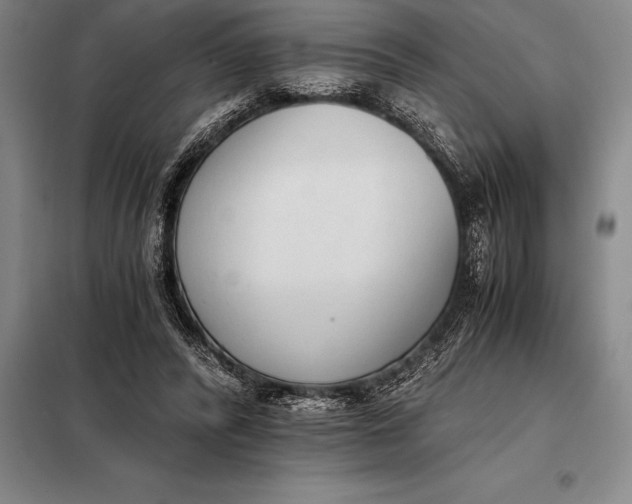 X0000098140400200805011349