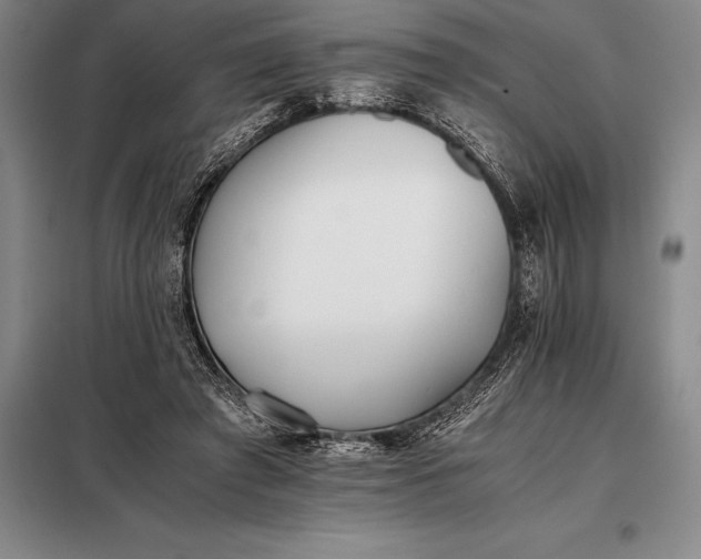 X0000098140401200805011349