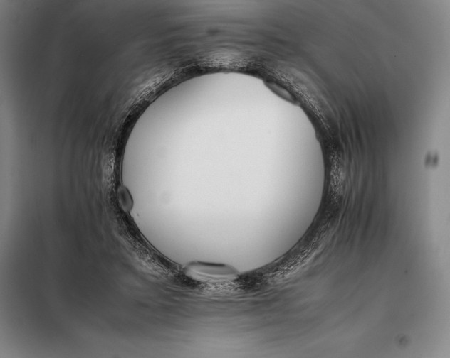 X0000098140403200805011349