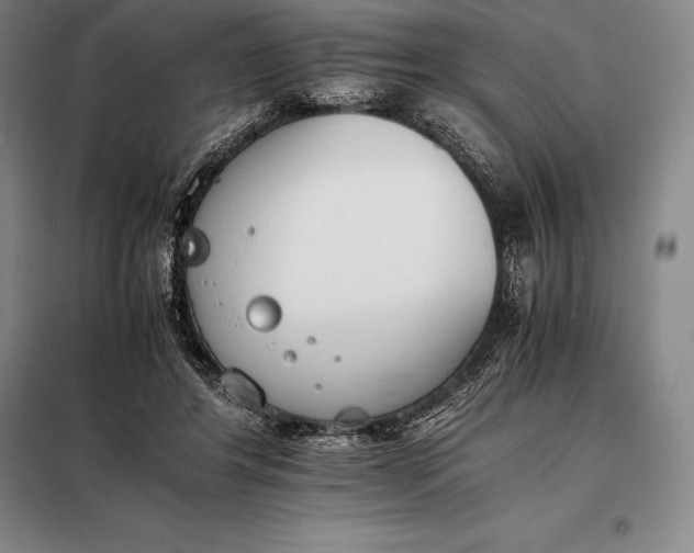 X0000098140404200805011349