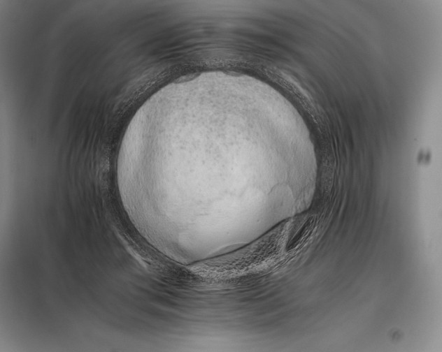 X0000098140405200805011349