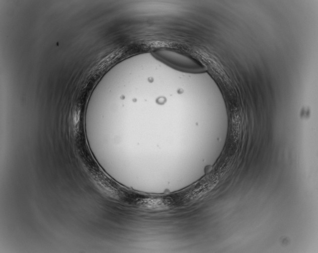 X0000098140406200805011348