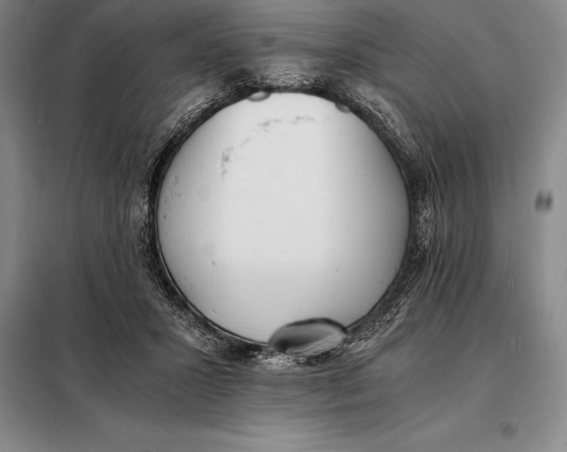 X0000098140407200805011348