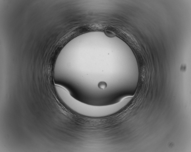 X0000098140409200805011348