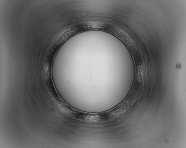 X0000098140410200805011348