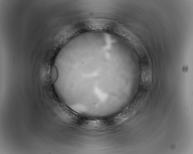 X0000098140411200805011348