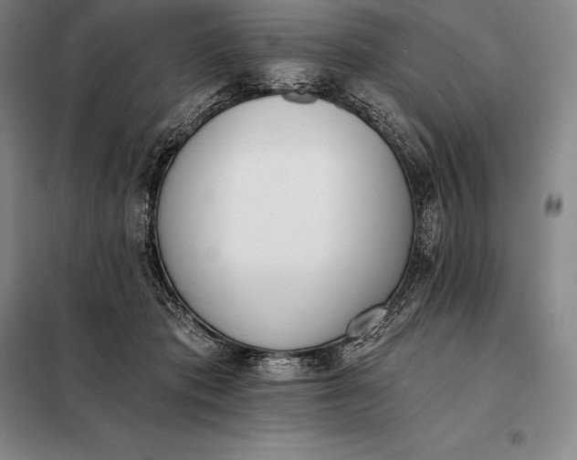 X0000098140413200805011348