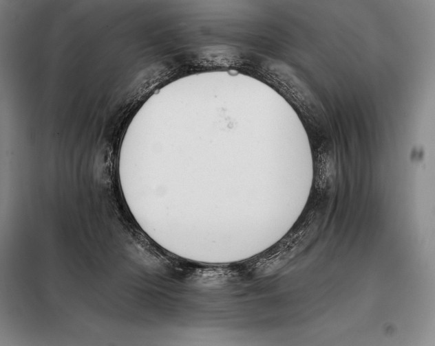 X0000098140414200805011348