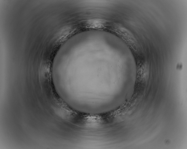 X0000098140415200805011348