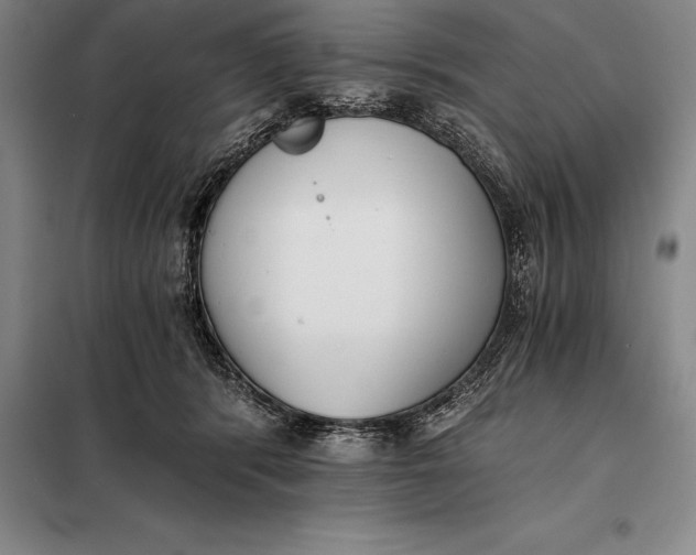 X0000098140416200805011348