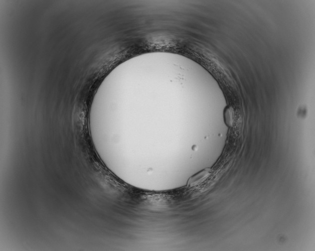 X0000098140417200805011348