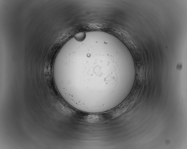 X0000098140418200805011348