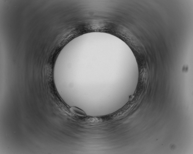 X0000098140421200805011348