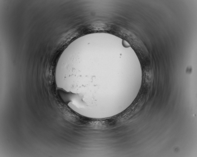 X0000098140422200805011348