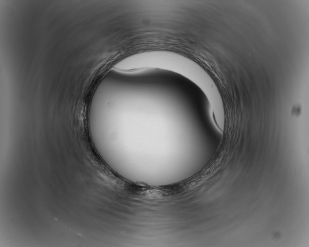 X0000098140423200805011348