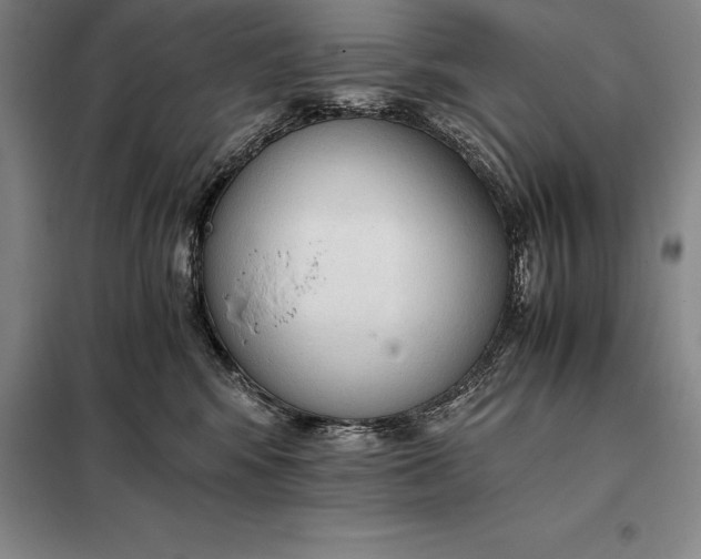 X0000098140424200805011348