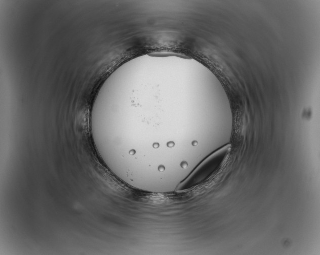 X0000098140425200805011348