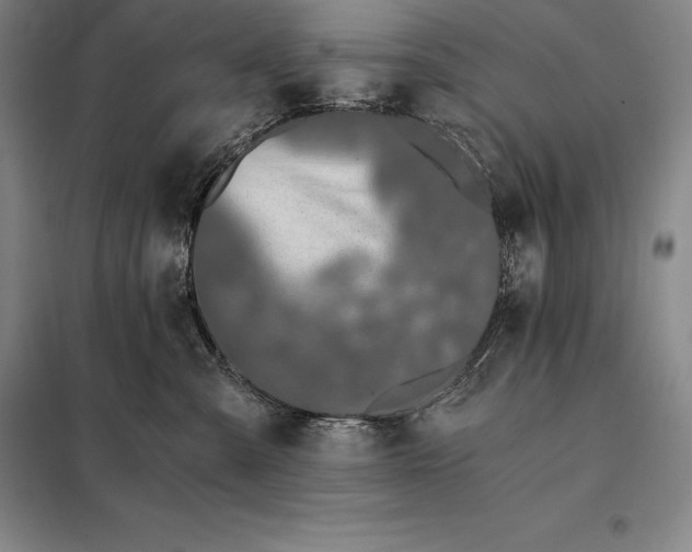 X0000098140427200805011348