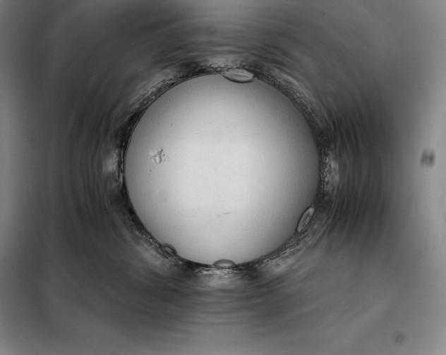 X0000098140428200805011348