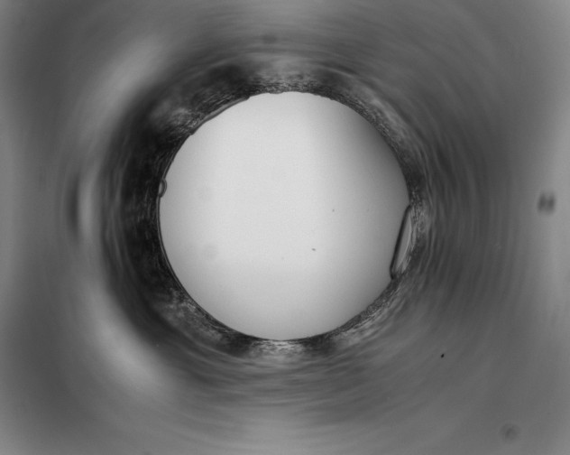 X0000098140429200805011348