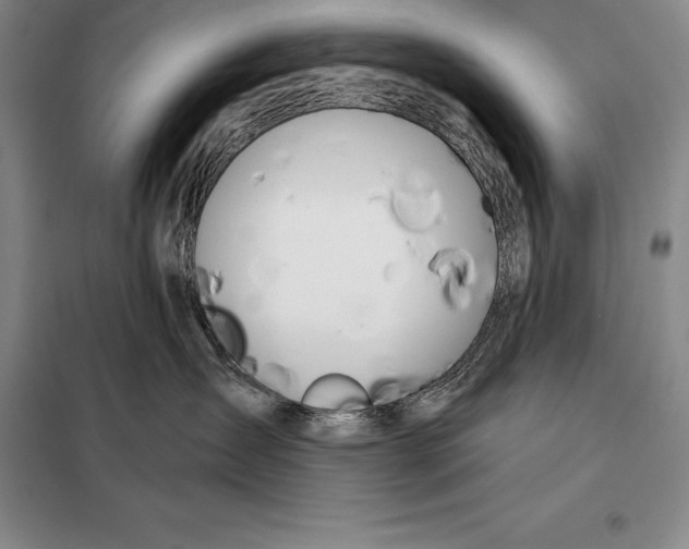 X0000098140431200805011348