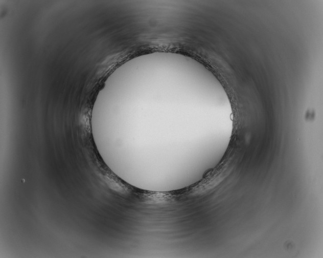 X0000098140432200805011348