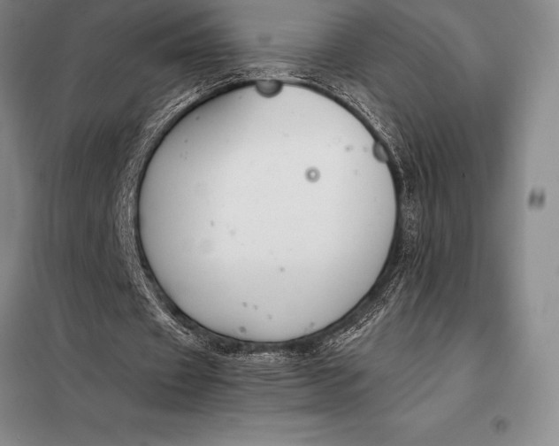X0000098140433200805011347