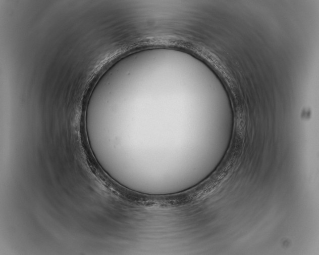 X0000098140434200805011347