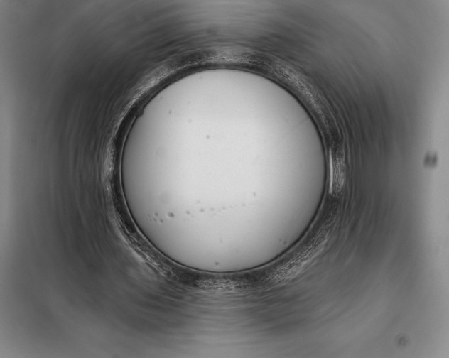 X0000098140435200805011347