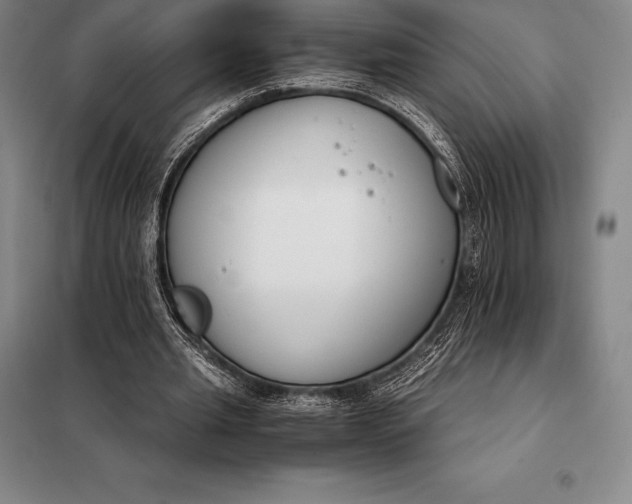 X0000098140437200805011347