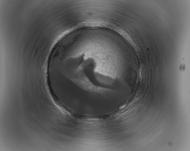 X0000098140438200805011347